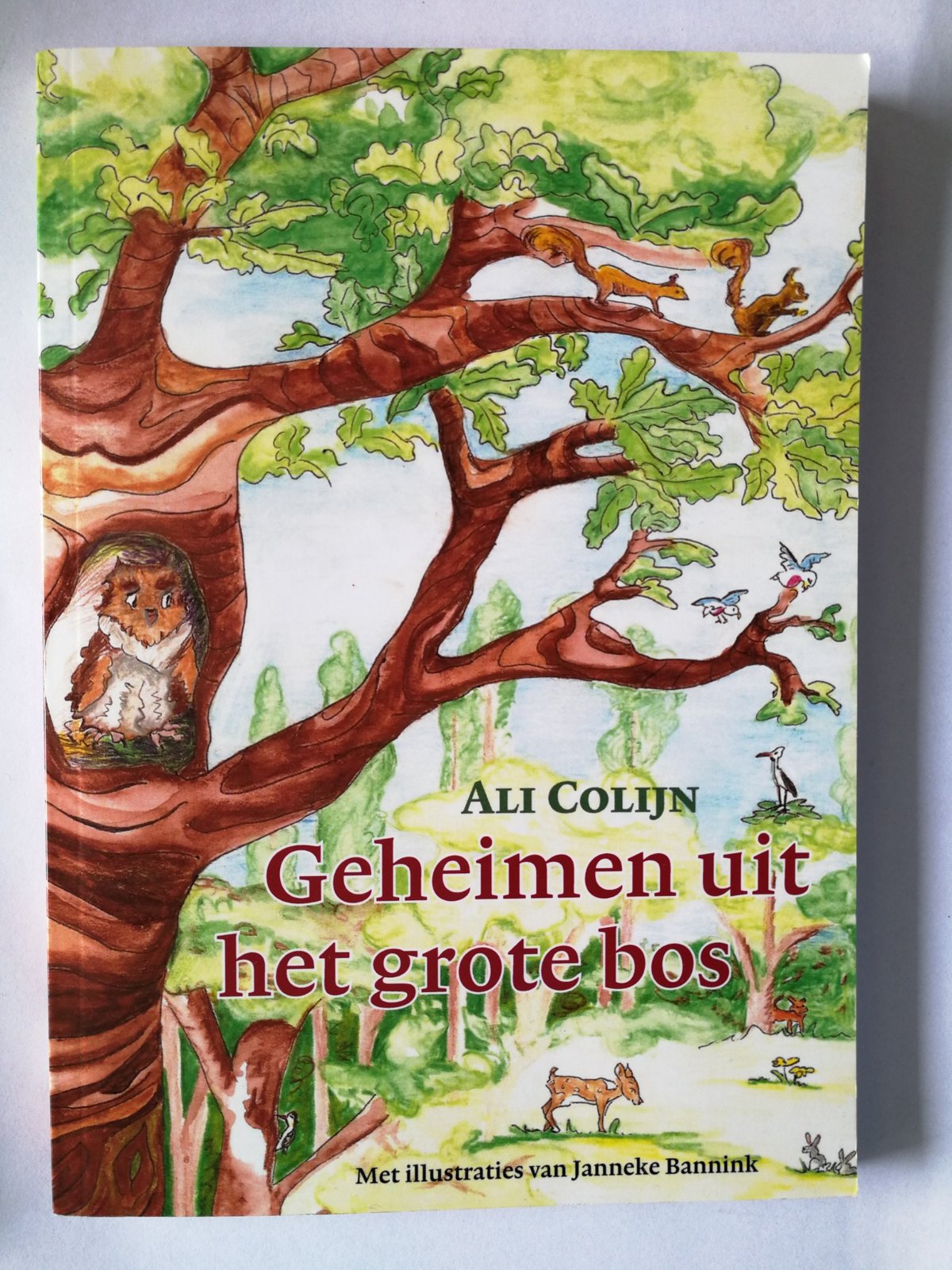 Illustraties en boeken