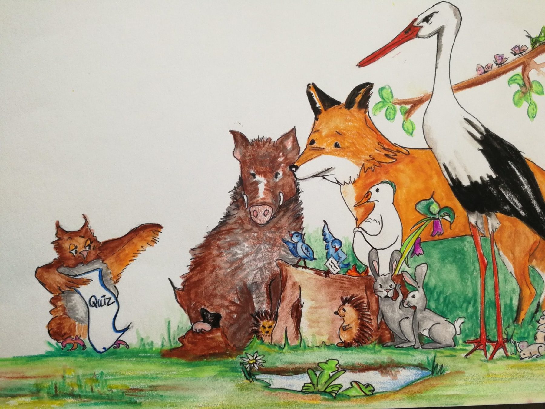 Illustratie dieren (gedraaid gecorrigeerd)